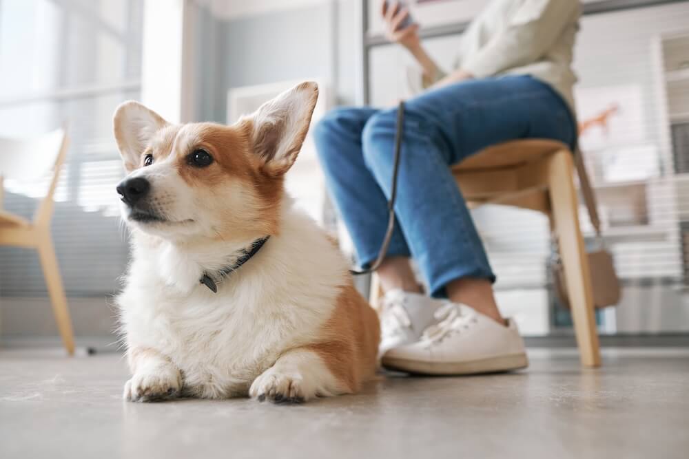  Are you doing Sittings?